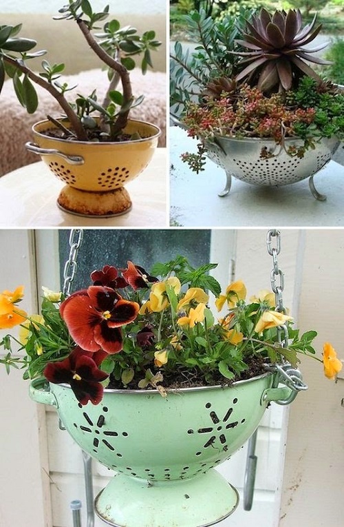 Sáng tạo nên vườn hoa đẹp lung linh từ những vật dụng tái chế