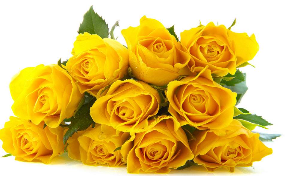 Giỏ hoa hồng vàng chúc mừng sinh nhật cô  LDNK237