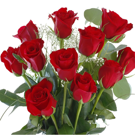 Thông điệp 1 đời 1 kiếp anh chỉ yêu mình em chỉ dành cho bó hoa hồng 11 bông
