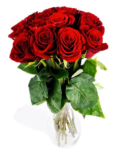 Bó hoa hồng đỏ thể hiện tình cảm rực cháy sâu đậm