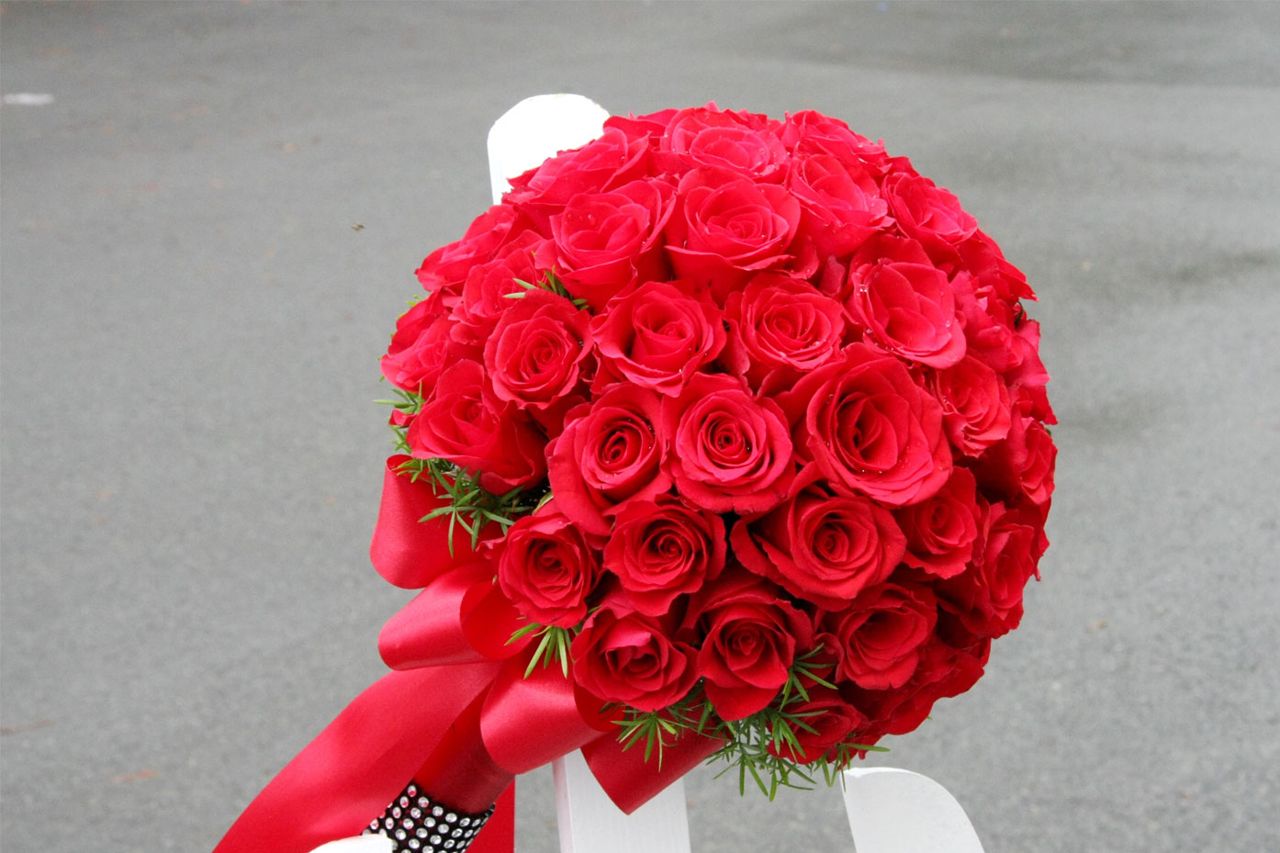 Hoa hồng được ví như nữ hoàng của các loài hoa, hoa hồng chính là loài hoa được ưa chuộng nhất trên thế giới