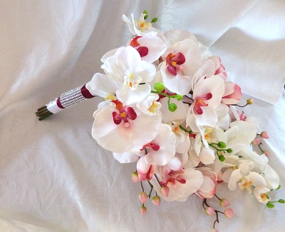 Hoa lan mang đến nhiều thông điệp ý nghĩa bao gồm tình yêu ngọt ngào, sự giàu có và vẻ đẹp thanh cao