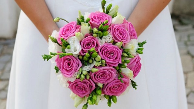 Đây là loài hoa cưới phổ biến nhất biểu tượng cho tình yêu được rất nhiều người yêu thích