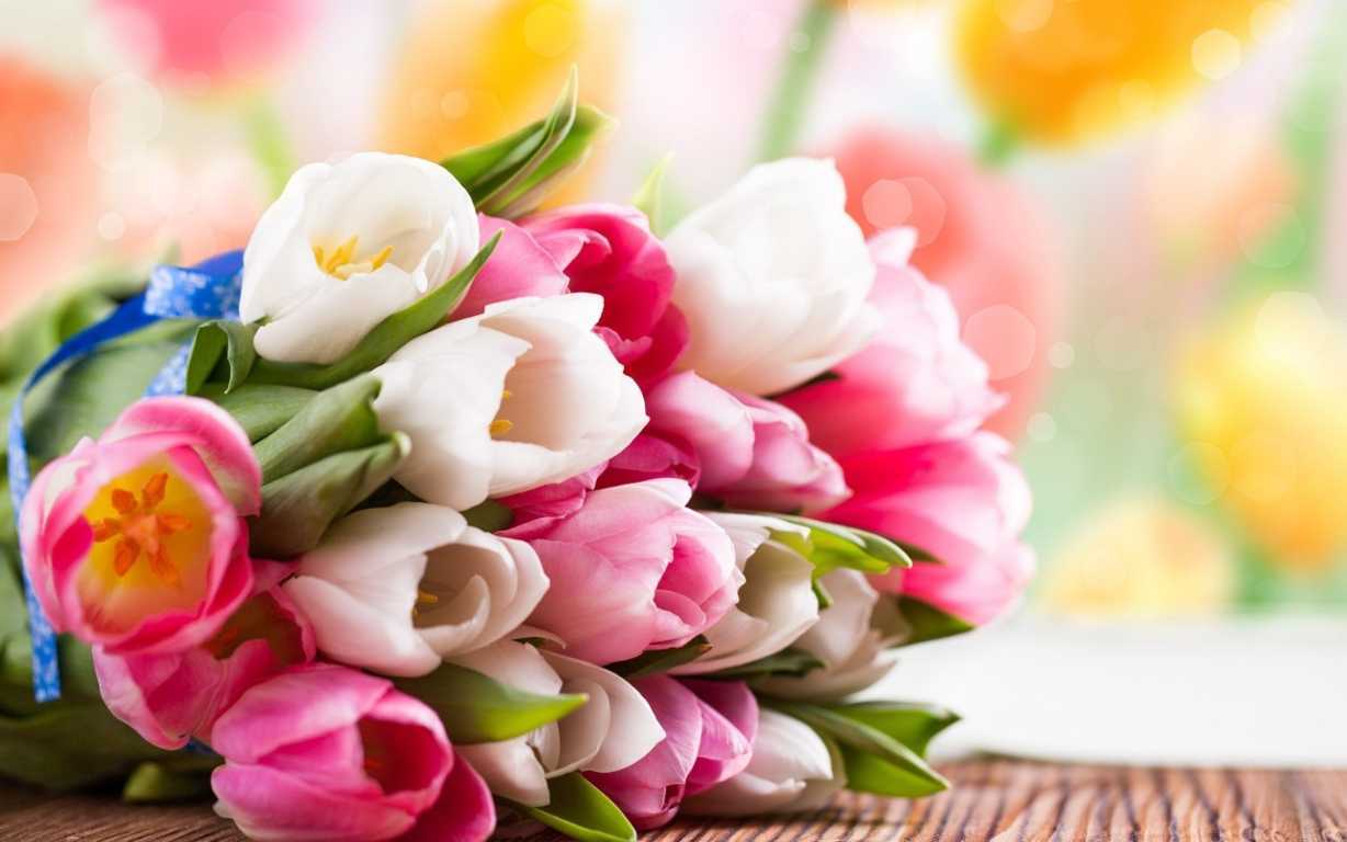 Có rất nhiều loại hoa chúc mừng để bạn dành tặng cho những người thân yêu