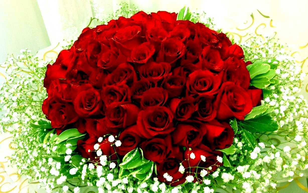Hoa hồng tượng trưng cho tình yêu mãnh liệt và sự lãng mạn