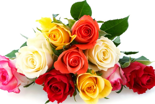 Hoa hồng tặng mẹ với ý nghĩa thể hiện cho tình yêu chung thủy, chân thành và vĩ đại của mẹ dành cho gia đình