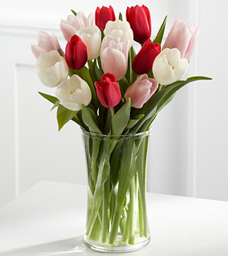 Hoa tulip xứng đáng để bạn dành tặng cho cô nàng của mình nhân dịp lễ Valentine