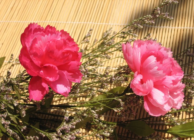 Hoa cẩm chướng màu hồng