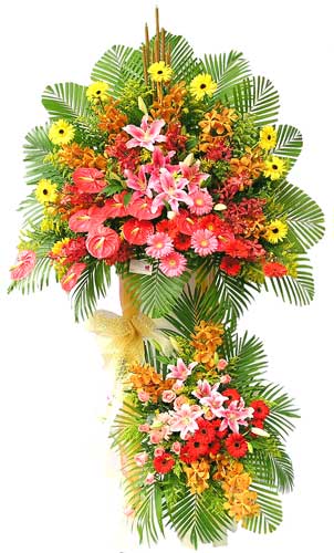 Hoa cúc vàng tượng trưng cho sự vui mừng quý mến, cúc đỏ tựng trương cho sự đẹp và hữu ích