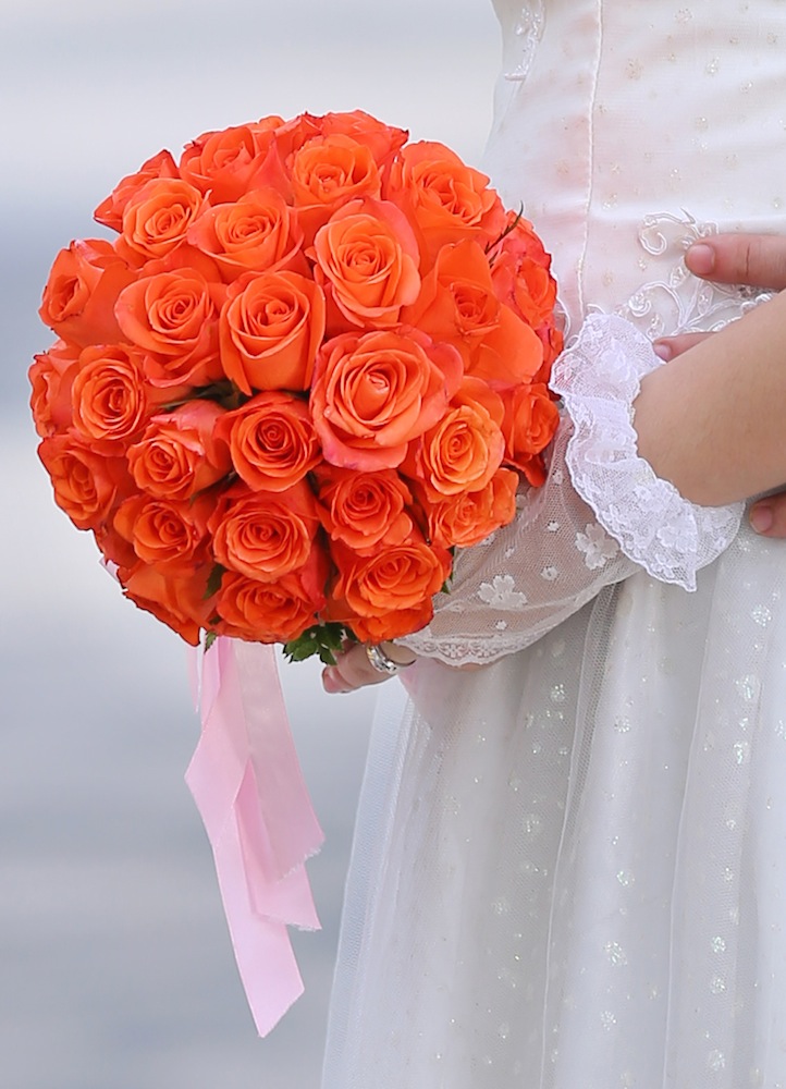 Nếu hoa hồng đỏ là đại diện của một tình yêu nồng nàn thì hoa hồng cam lại mang hình cho tình cảm trong sáng và thuần khiết