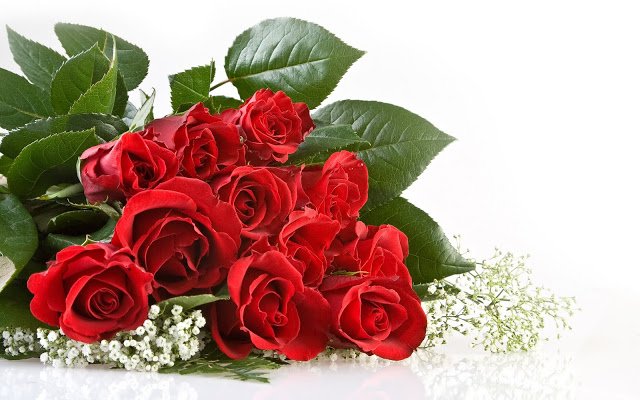 Hoa hồng là biểu tượng của vẻ đẹp kiêu sa lộng lẫy