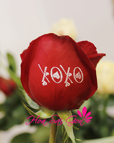 XO - XO chính là thông điệp về tình yêu ngọt ngào 