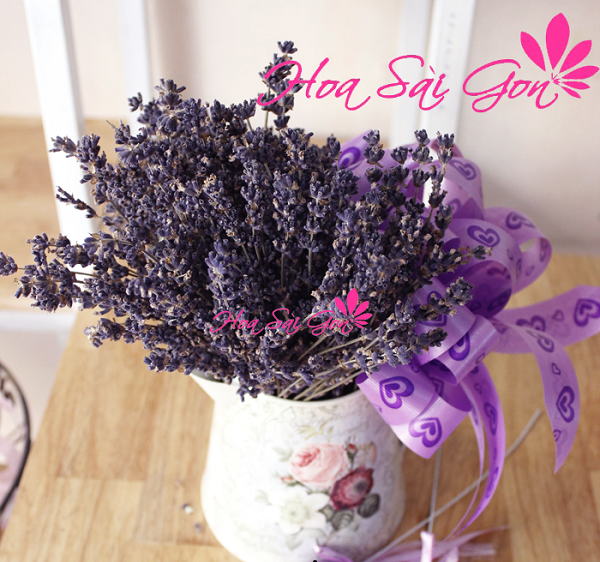 Chẳng có loài hoa nào lại có vẻ đẹp vừa mạnh mẽ mà vừa dịu dàng đằm thắm như loài hoa lavender