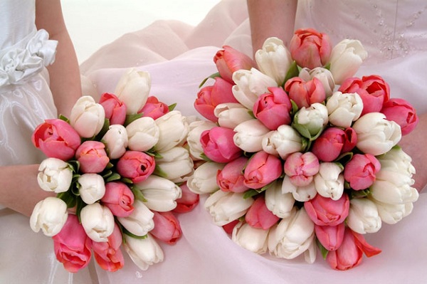  Tulip có nhiều màu sắc phong phú mang đến những ý nghĩa khác nhau phù hợp với chủ đề đám cưới khác nhau