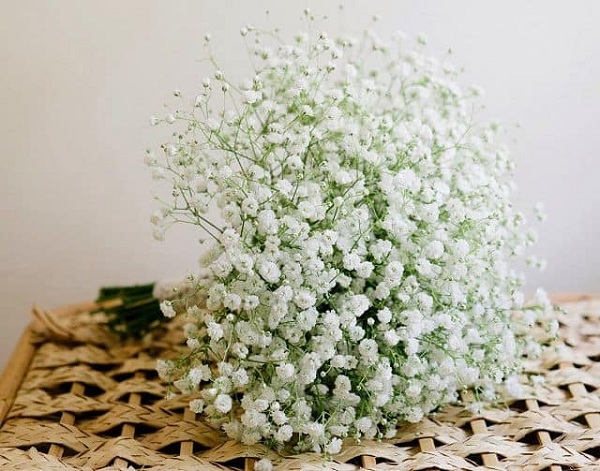 Hoa baby trắng mang đến ý nghĩa của sự tinh khôi, thơ ngây nên rất thích hợp để làm hoa cưới cầm tay 