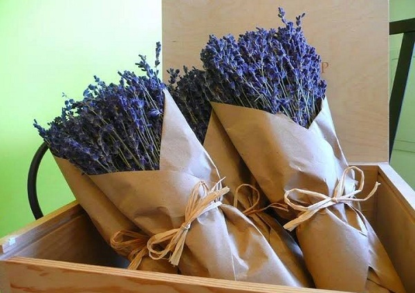 Khi mua hoa lavender nhất định bạn phải quan tâm đến chất lượng hoa của đơn vị cung cấp đó có tốt hay không