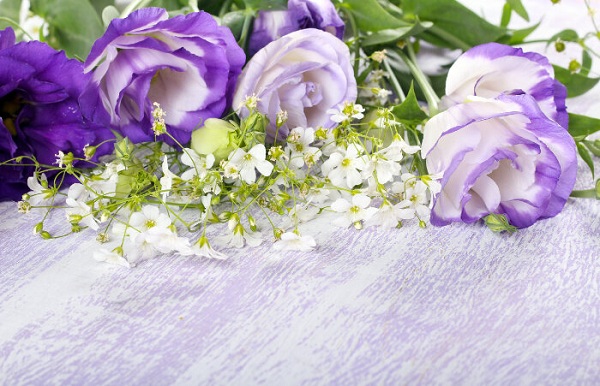 Bó hoa lan tường là món quà thân thương ngày cưới