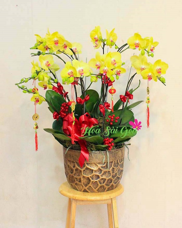Khi mua hoa tại Hoa Sài Gòn bạn sẽ được đội ngũ giàu kinh nghiệm của chúng tôi tư vấn tận tình 