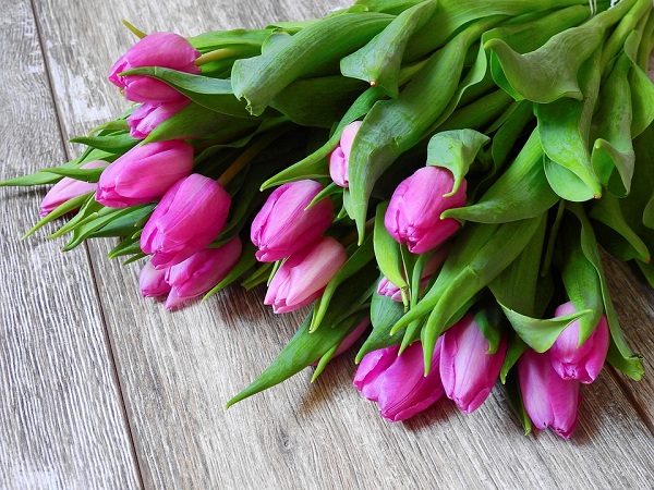 Bó hoa tulip dành tặng cho người mà mình yêu thương