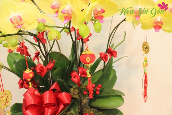  Đặt hoa tại Hoa Sài Gòn bạn sẽ hài lòng tuyệt đối bởi chất lượng hoa đẹp, thiết kế hoa ấn tượng và chuyên nghiệp nhất