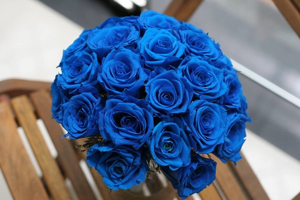 Nếu bạn yêu hoa hồng xanh dương, bạn mang cá tính của màu hoa này