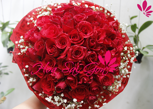 Bó hoa hồng đẹp nhất tặng bạn gái  Ms2197  Hoa Phú Quý  Phu Quy Flowers   Dịch vụ điện hoa Online số 1 Việt Namso