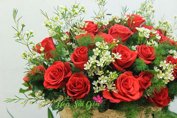 Hoa hồng đỏ thể hiện tình yêu mãnh liệt và nồng cháy