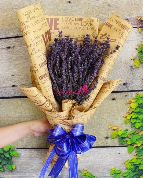 Hoa lavender mang đến một cảm xúc nhẹ nhàng, tinh tế 