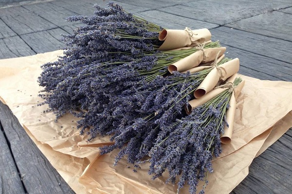 Nên mua hoa lavender khô tặng bạn gái vì hoa có vô số những ý nghĩa đặc biệt 