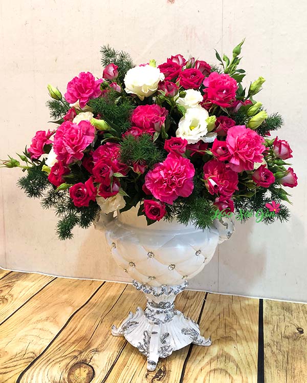Hoa cẩm chướng được xem là một loài hoa tương trưng cho ngày của mẹ