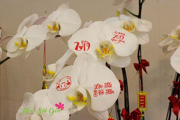 Từng cánh hoa lan tươi sẽ được in những thông điệp như: Happy New Year 2019, Lộc tài vô tận