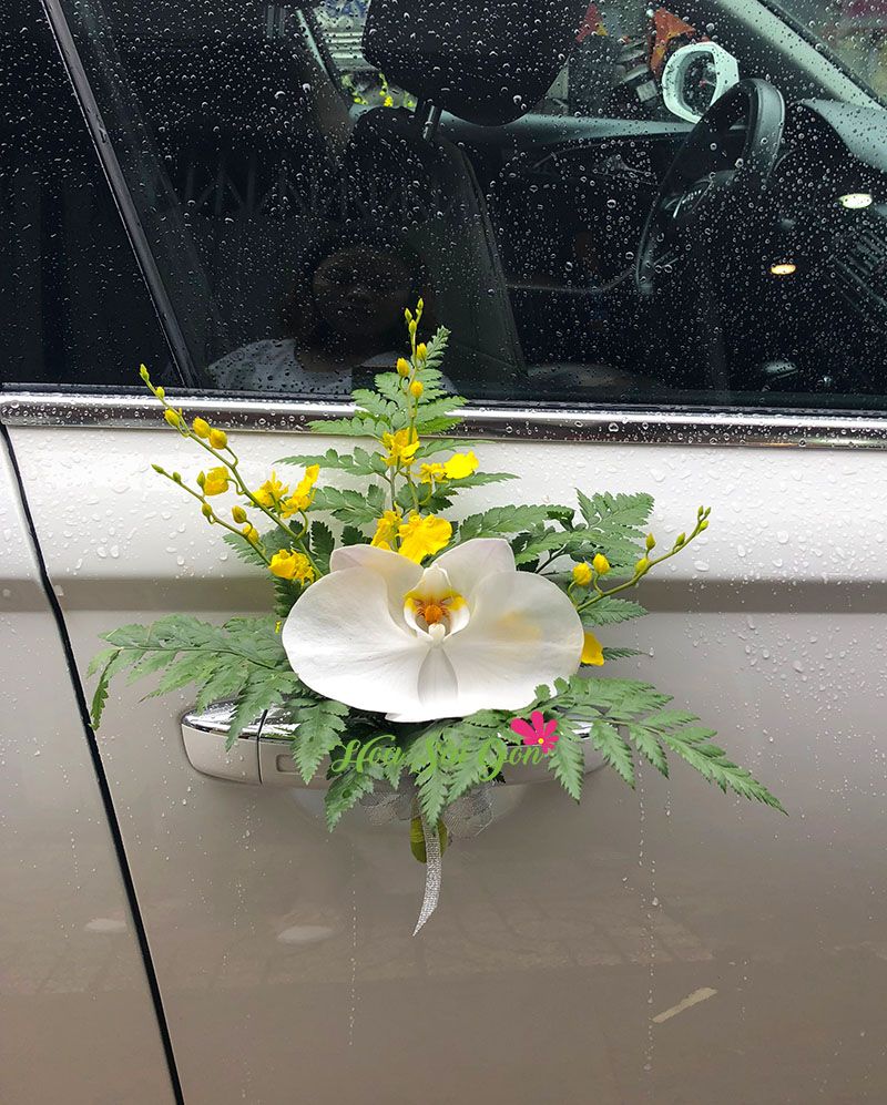 Hoa ở tay nắm cửa xe