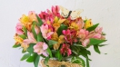 12 loài hoa sinh nhật đem may mắn cho 12 tháng sinh (Phần 2)
