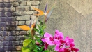 Bật mí 6 bí kíp cắm hoa đẹp đơn giản dành cho người mới bắt đầu