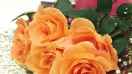 Cùng khám phá 8 ý nghĩa màu sắc của hoa hồng mừng sinh nhật