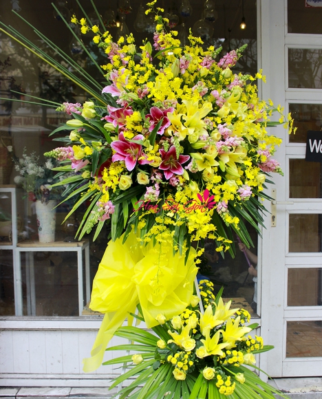 Đảo mộng mơ LH111