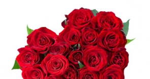 Điện hoa Biên Hòa - dịch vụ hoa tình yêu kết nối những trái tim xa nhau