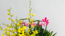 Điện hoa Sài Gòn – địa điểm đáng tin cậy về các dịch vụ hoa tươi