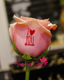 Đóa hoa I Love You - S59