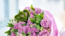 Hiểu rõ hơn về hoa hồng - một loài hoa sinh nhật màu tím thật đẹp