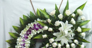 Hoa chia buồn - Tặng hoa gì phù hợp với đám tang