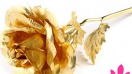 Hoa hồng mạ vàng - Quà tặng độc lạ xuất hiện gần đây