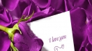 Hoa hồng tím – món quà sinh nhật độc đáo thể hiện tình yêu chung thủy