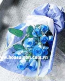Hoa hồng xanh TY143