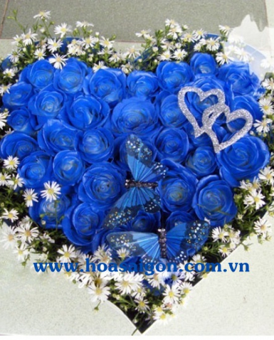 Hoa hồng xanh TY186