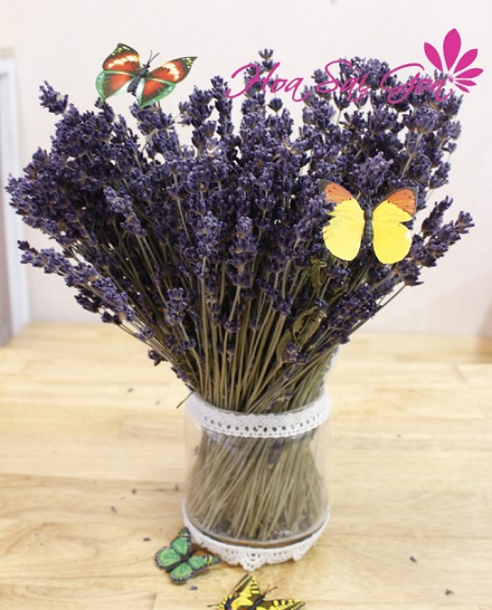 Hoa khô Lavender LD10