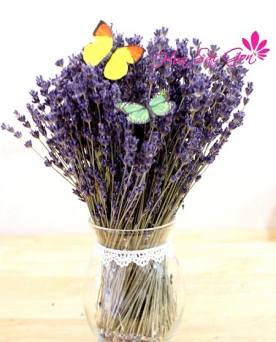 Hoa Lavender khô LD11