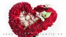 Hướng dẫn bó hoa hình trái tim tặng người thân