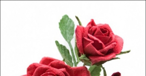 Hướng dẫn làm hoa hồng giấy đáng yêu