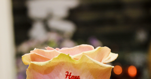Mẹo giữ hoa tươi lâu nhất tại các cửa hàng hoa